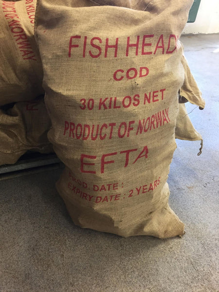 Naturally dried Atlantic Cod heads in 30 kgs bags.