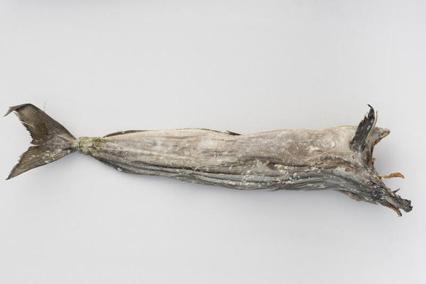 Stockfish of Saithe in 45 Kg bales