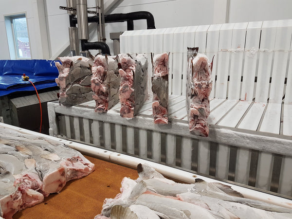 Seafrozen Cod loins and fillets (500 kg)