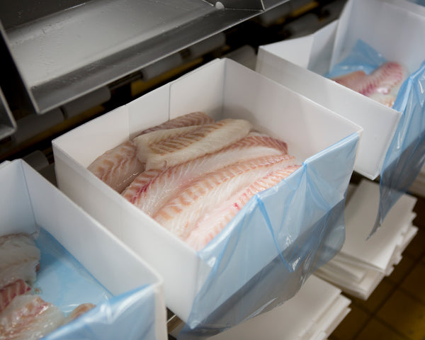 Seafrozen Cod loins and fillets (500 kg)