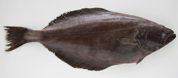 Greenland halibut J/C frz 2 - 3 kg A (500 kg)