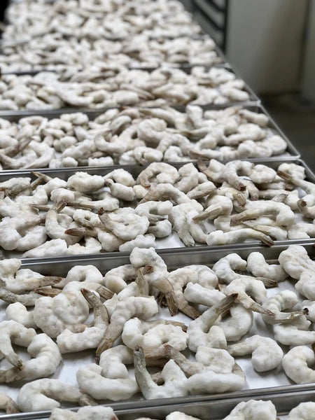 Freeze dried shrimp - COMING SOON