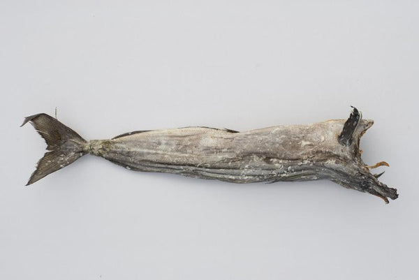 Stockfish of Saithe in 45 Kg bales